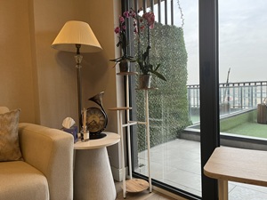 Danışan kabul alanında ferah ve güven veren düzen